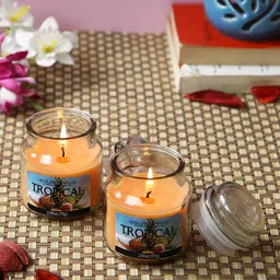 HOSLEY Set Of 3 Orange Tropical Mist Highly Fragranced Jar Candles-image-58