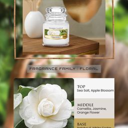 YANKEE CANDLE  White Camellia Blossom Candles-Camellia Blossom-59