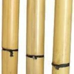 Belgian Bagpipes-21