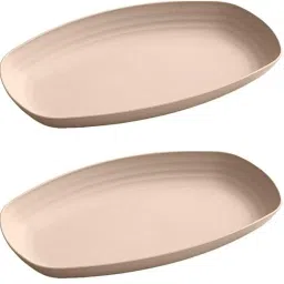 Wheat Straw Decorative Plates (pack of 2, beige) Tray-image-52
