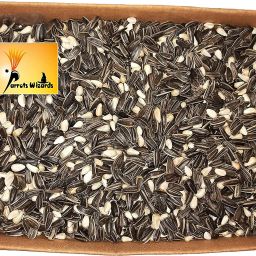 Small Sunflower and Safflower Seed Mix 0.45 kg Dry Adult Bird Food-27