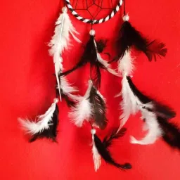 NLDC 25 Feather Dream Catcher-image-8