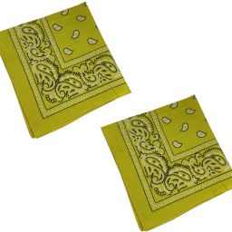 Men, Women, Boys, Girls Printed Bandana-image-30