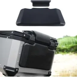 Driver and Passenger Backrest-1