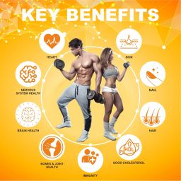 clearcut Omega 3 capsules Fish oil Biotin Vitamin D3 for heart Hair Bones image 4