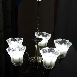 svah 5 light chandilers Chandelier Chandelier Ceiling Lamp Chandelier Ceiling Lamp image 2