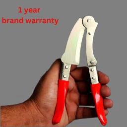 supari cutter sarota supari cutter adkitta sudi Nut Cutter-16