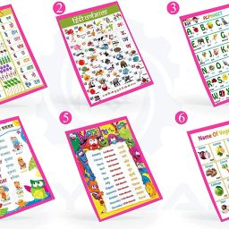 Soft Book with India Map – Educational Toy for Kids-image-96