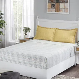 MYTRIDENT Olive Green  White Striped 100% Cotton 210 TC King Bedsheet with 2 Pillow Covers-image-43