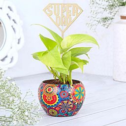 Money Plant Wishes for Super Dads-image-76