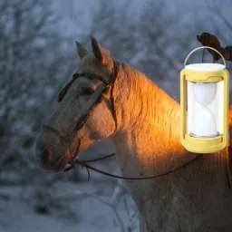 Yellow Plastic Hanging Lantern-picture-18