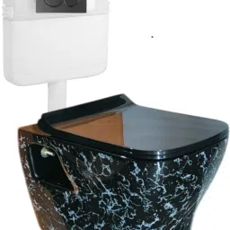 Wall Mounted P Trap Commode With Soft Seat Cover Cistern Flushing Concealed With Chrome Flush Plate - 10 L (HT) Western Commode-13