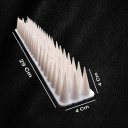 Bird Spike-picture-25
