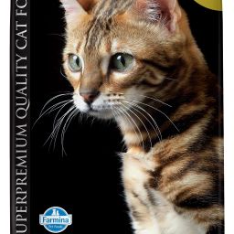 Matisse - Neutered Salmon- Cat Dry Food - Adult Salmon 10 kg Dry Adult Cat Food-image-54
