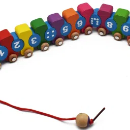 Wooden Push and Pull Along Caterpillar Number with Dots | Number Train for Kids-22