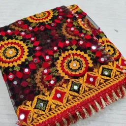 Net Embroidered Black Women Dupatta-picture-4