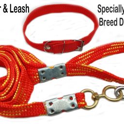 Dog Collar with Rope Belt Combo M Size PET medium breed Dog 183 cm (6 Feet (Red) 182 cm Dog Chain Leash-image-11