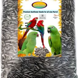 Sunflower Seeds for Grey and Indian Parrot, Macaw, Cockatoo and Exotic Birds 1 kg Dry Adult, Senior, Young Bird Food-image-69