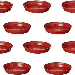 Round Bottom Tray(Plate/Saucer) |Plate Tray | Brown Plate | Plastic Tray | Plant Container Set-image-64