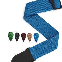 PP (Polypropylene) Strap-picture-8
