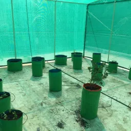 Agro Shade Net 50% Greenhouse UV Stabilized (3m x 5m) Garden Tool Kit-picture-28