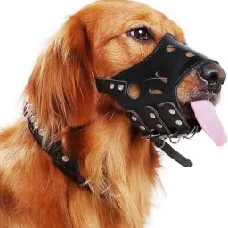 Durable Leather Dog Muzzle for Training Sessions Medium Other Dog Muzzle-image-1