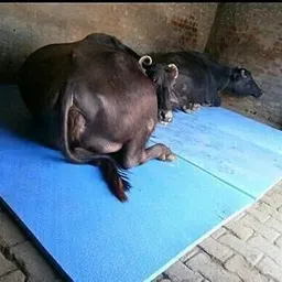 lcarno Cowmat Waterproof, Mat for Cows Mat for Animal Buffalo,( Black) Cow Dog, Pet Mat Cow, Dog, Hamster, Guinea Pig, Miniature Pig Pet Mat-picture-9