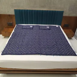 MAGNETIC FIELD THERAPY-20