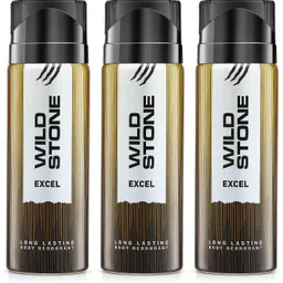 wild stone Excel Long-Lasting Deodorant for Men II Best Deo for Office |Woody Fragrance Body Spray - For Men-picture-31