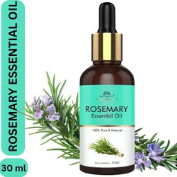 intimify Rosemary Essential Oil | Hair Growth | Hair Fall Control | Reduce Acne |-picture-5