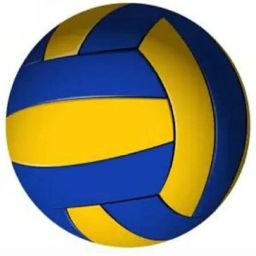NA Volleyball - Size: 5-picture-39