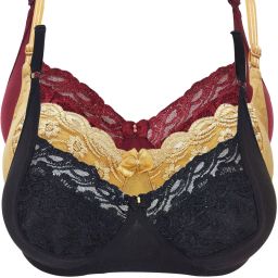 Pack of 3 Women Full Coverage Non Padded Bra-image-25