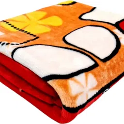 Animal Single Mink Blanket forAC Room-image-24