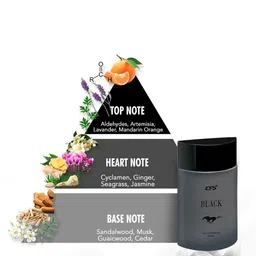 CFS Black & Oudh Set Of 2 EDP & Deodorant Body Spray - 300ml image 2