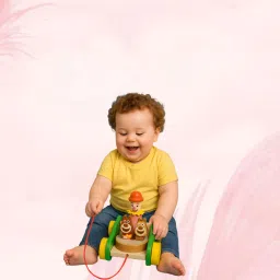 baby toy made of natural wood-image-99