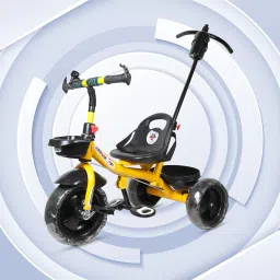 HD 01 Tricycle-image-20
