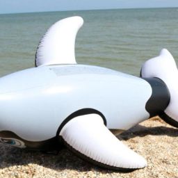 Original Inflatable Whale Ride On (IND *6558) Swimming Pool Float Tube Inflatable Pool Accessory-image-80