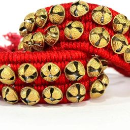 Bharatanatyam, Bharata Muni, Chhau, Kathak, Kathakali, Satriya, Odissi, Mohiniyattam, Manipuri Ghungroo-image-48