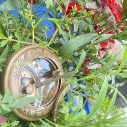 ayans hub PUSH BUTTON SUNDIAL COMPASS Compass image 2