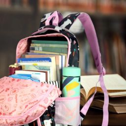 School Backpack College Bag Travel Bag with Pencil Pouch, premium Waterproof Bag Waterproof School Bag-image-89