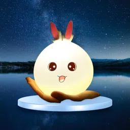 USB Rechargeable Night Light Lamp Night Lamp (Multicolor) Night Lamp-23