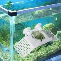 akshat enterprises Basking Area/Stand Reptiles Platform Aquarium Tool image 3