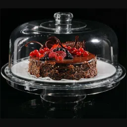 Acrylic Cake Server-22