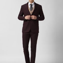 Peter England Elite Men Brown Self-Design Single-Breasted Regular-Fit Three-Piece Suit-image-7