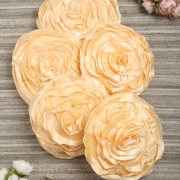 HOSTA HOMES Cream-Coloured Set of 5 40.6 cm Satin Round Cushion Covers with Fillers-16