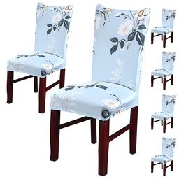 HOUSE OF QUIRK Turquoise Blue & White 6 Pcs Floral Printed Removable Chair Covers-image-91