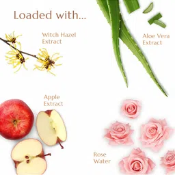 PROVALO Rose Water & Witch Hazel Advanced Pore Minimizer Toner with Natural Actives 110 ml image 3