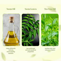 VLCC Set Of 2 Ayurveda Skin Purifying Double Power Double Neem Face Wash - 100ml Each image 3