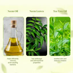 VLCC Ayurveda Set of 4 Skin Purifying Double Power Double Neem Face Wash - 100 ml each image 2