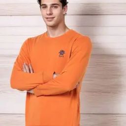 Logo Embroidered Crew-Neck Sweatshirt-image-24